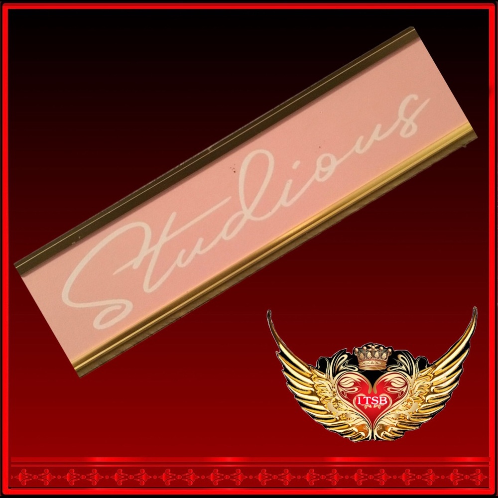 💝 🆕 SEXYBRAINBOUTIQUE Studious Desk Plaque 💝 Perfer for Home or Work Office 🆕